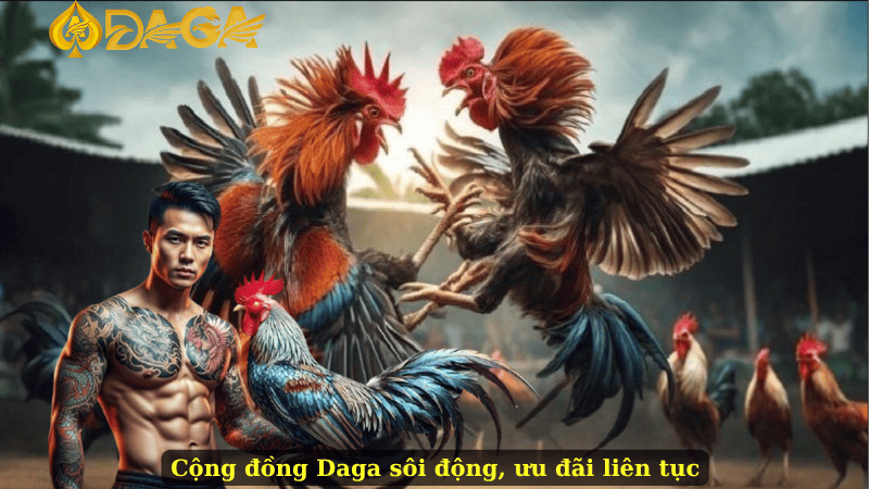 Cộng đồng Daga sôi động, ưu đãi liên tục